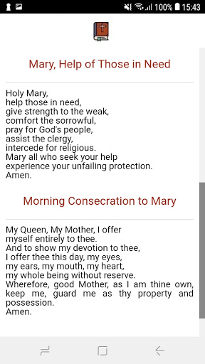 Virgin Mary Prayer Screen 2