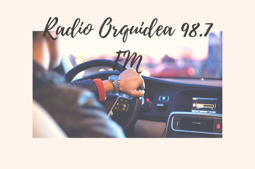 radio orquidea 98.7 fm Screen 3