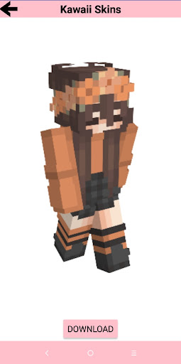 SkiniFy Screen 3