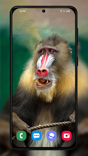 Wild Africa animals themes Screen 3