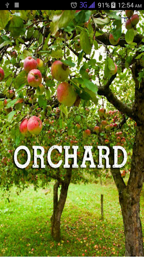 Orchard