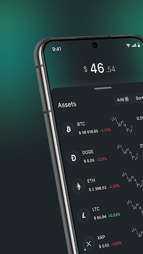 Rubicon Wallet Screenshot 2 - AppWisp.com