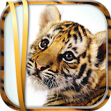 Baby Tiger Live Wallpaper icon