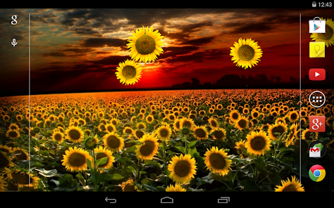 Sunflower Live Wallpaper - Apps on Google Play