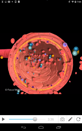 Regulation of Blood Pressure Screen 3