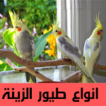 Cover Image of Download موسوعة طيور الزينة : مكتبه طيو  APK