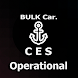 Bulk carrier. Operational CES