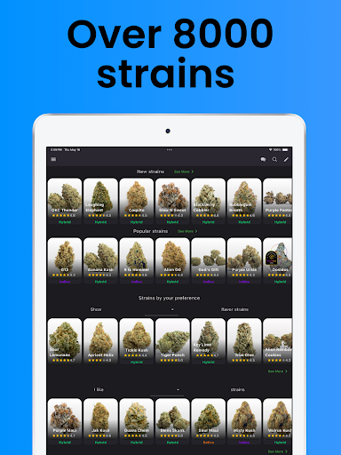 Strain Guide screenshot 5