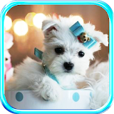 Puppy Glamour live wallpaper icon