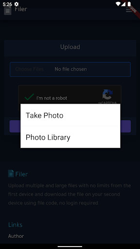 Filer Screen 2