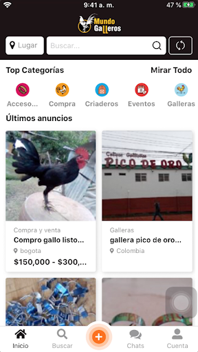 Android application Mundo Galleros screenshort