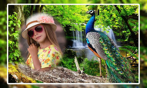 Android application Peacock Photo Frames screenshort