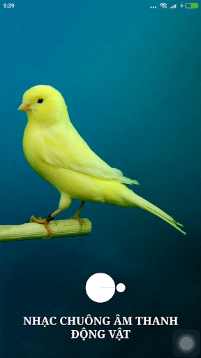 Android application Nhạc Chuông Âm Thanh Động Vật screenshort