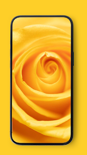 Yellow wallpapers HD