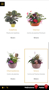 Interflora portal floristas (ES) Screenshot