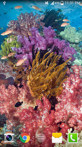 Aquarium Undersea wallpaper Screen 2