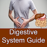 Human Digestive System Functioning & Anatomy icon