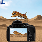 Desert Animal Photography