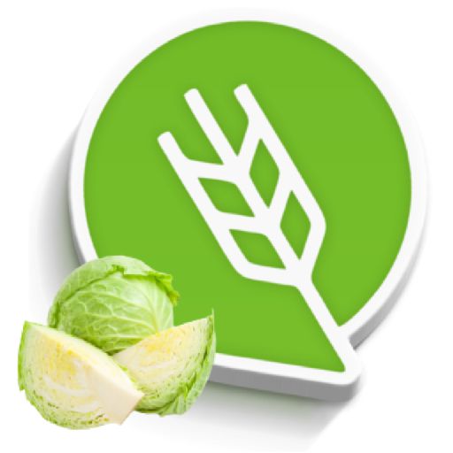 कोबी लागवड #Agrownet™ logo