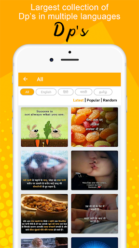 Full Screen Video Status - 15 Sec