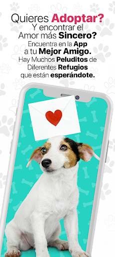 Amigos de Yuki Screen 3