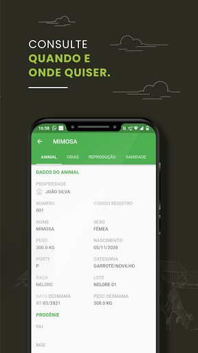 Planilha de Controle de Rebanh Screen 3