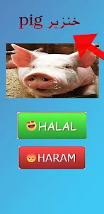 Halal or Haram?