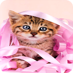 Cover Image of Download Cute Cat Wallpaper 2.0 APK