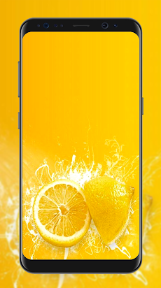 レモンの壁紙 Androidアプリ Applion