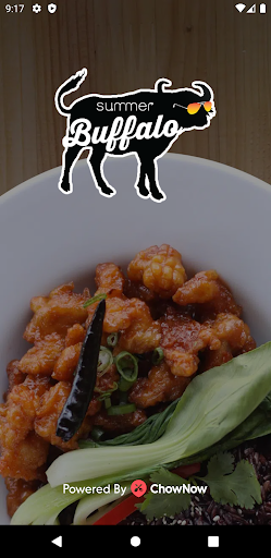 Android application Summer Buffalo screenshort