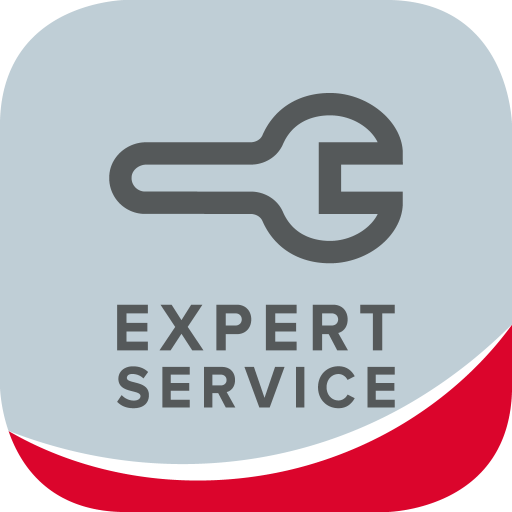 Expert Service Download on Windows