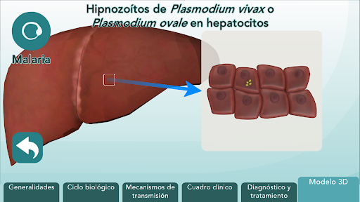 Protozoarios sistémicos