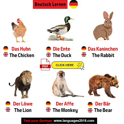 Deutsch Lernen - Learn German Screen 3