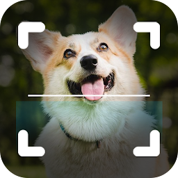 Symbolbild für Dog Breed Identifier Photo Cam
