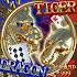 TigerDragon Casino9