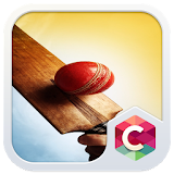 Sports Theme : Indian Cricket Balls HD Wallpaper icon
