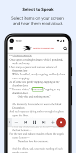 Android Accessibility Suite 3