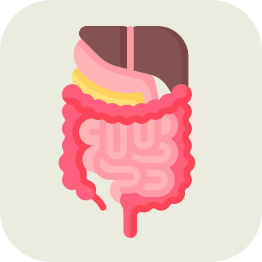 Digestive System  Icon