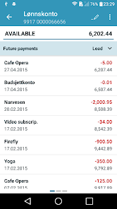 Captura de Pantalla 3 Sparebanken Narvik Bedrift android
