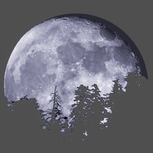 Moon Info logo