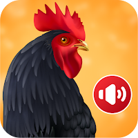 Animal Ringtones: Animal Sounds  Bird Wallpaper