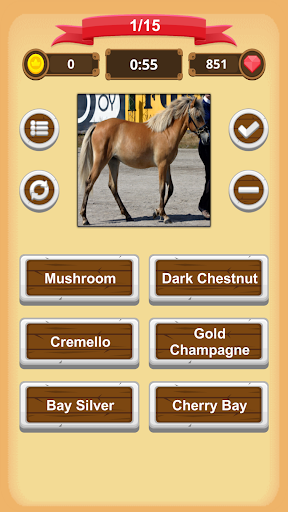 Horse Coat Colors Quiz Screen 2