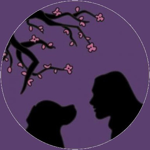 Brilliant Best Friends logo