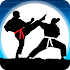 Karate Fighter : Real battles16