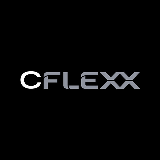 Castle Flexx logo
