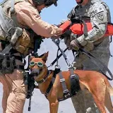 Military Dogs Wallpaper Images icon