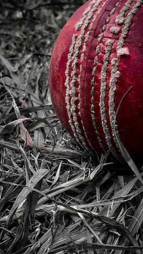 Cricket Wallpapers Screen 2