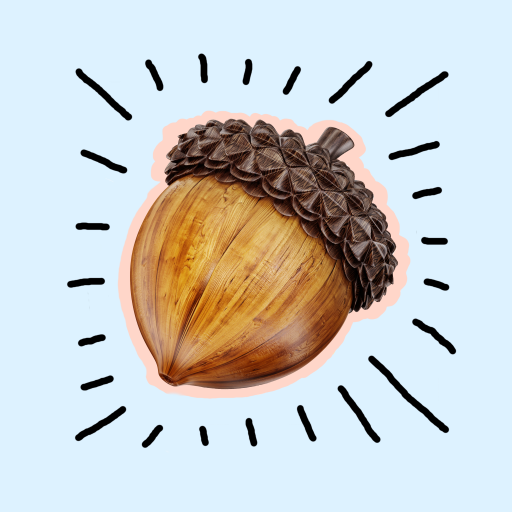 Acorn Catalog logo