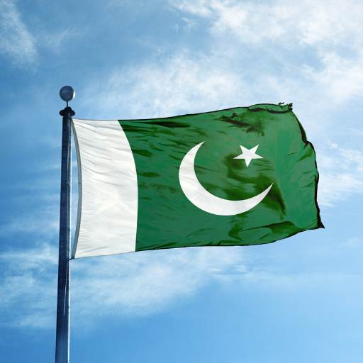 Pakistan flag logo