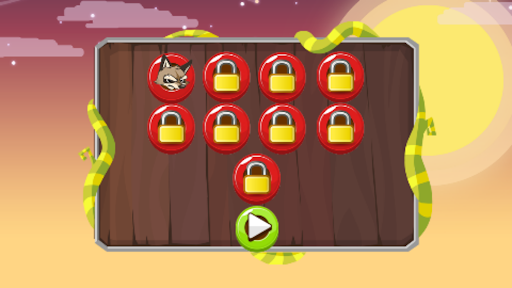 jungle raccoon adventure